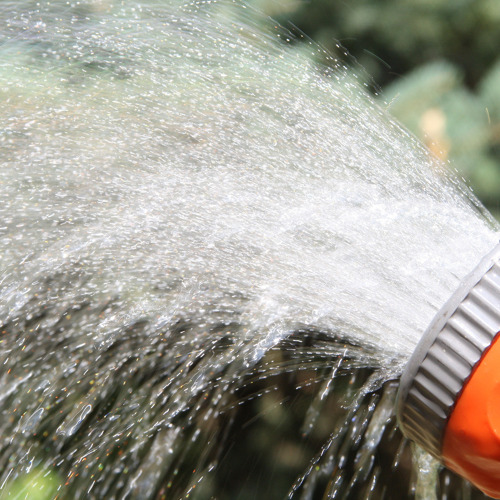 Gartenarbeit im Monat Juni